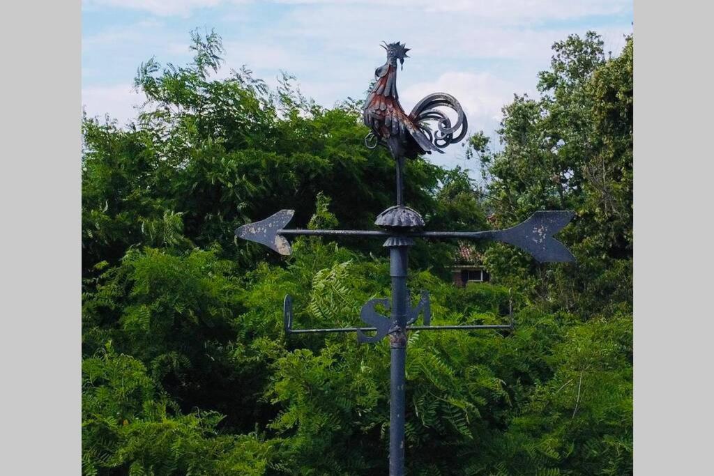 La Casa Nei Campi Villa Badia Pavese Buitenkant foto