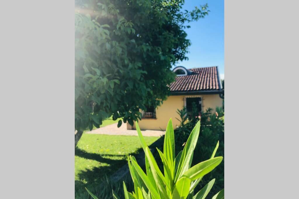 La Casa Nei Campi Villa Badia Pavese Buitenkant foto
