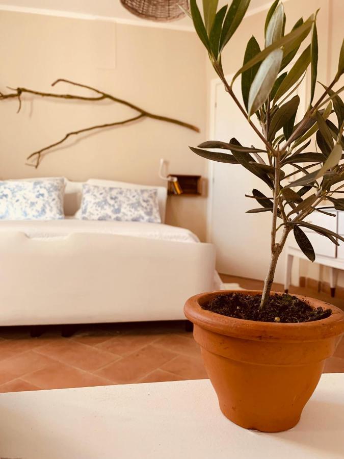 La Casa Nei Campi Villa Badia Pavese Buitenkant foto